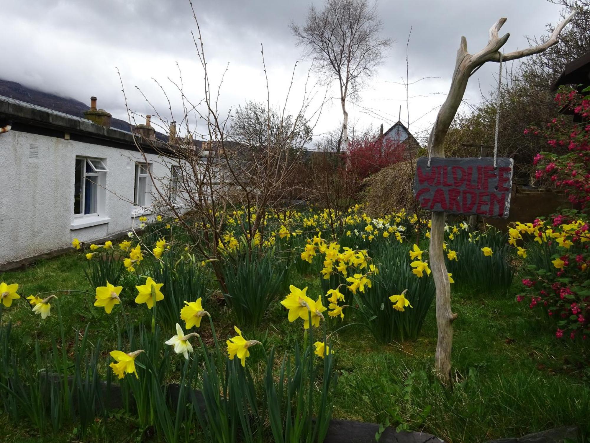 Ullapool Youth Hostel Luaran gambar